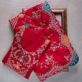 Premium Embroidery Work designer saree